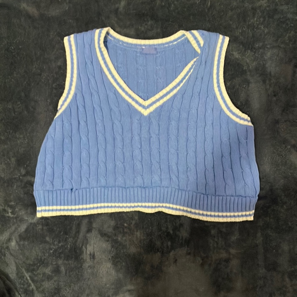 Cropped brandy Melville sweater vest